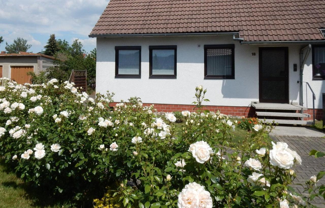 Fewo Am Sassenberg Blankenburg  Extérieur photo